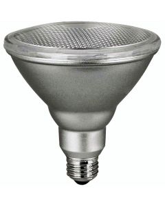 Flood Light Bulb 150W