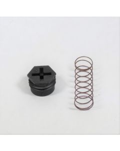 VALVE SPRING KIT LP